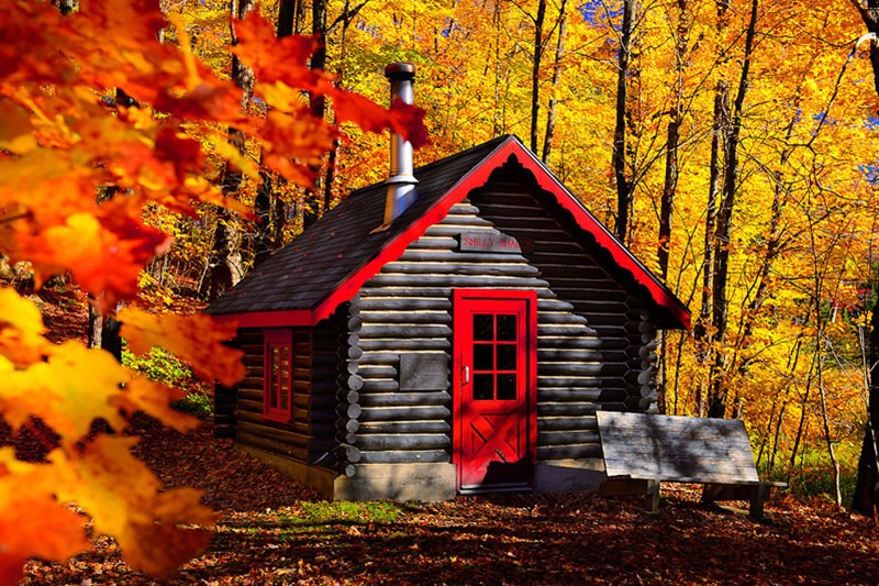 Fall Cabin