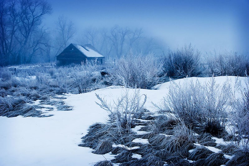 Frosty Field