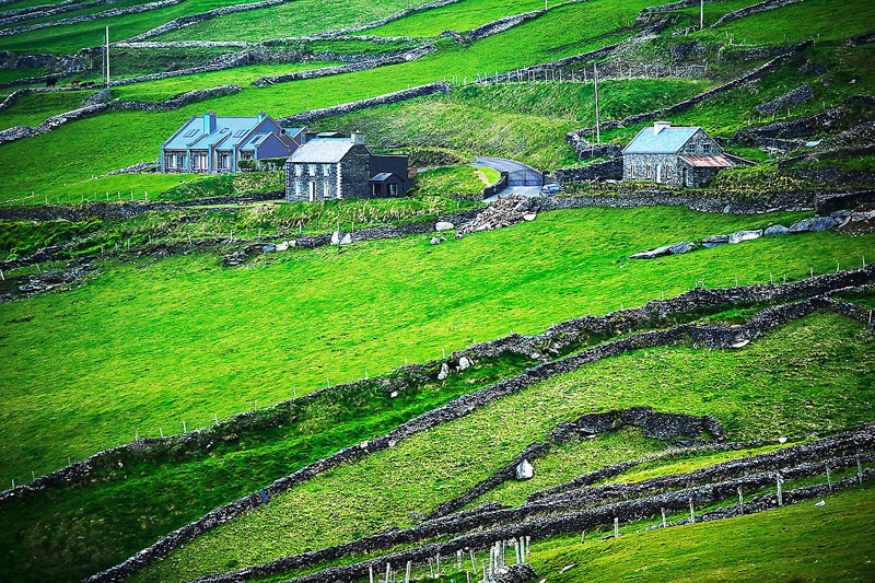 Irish Countryside