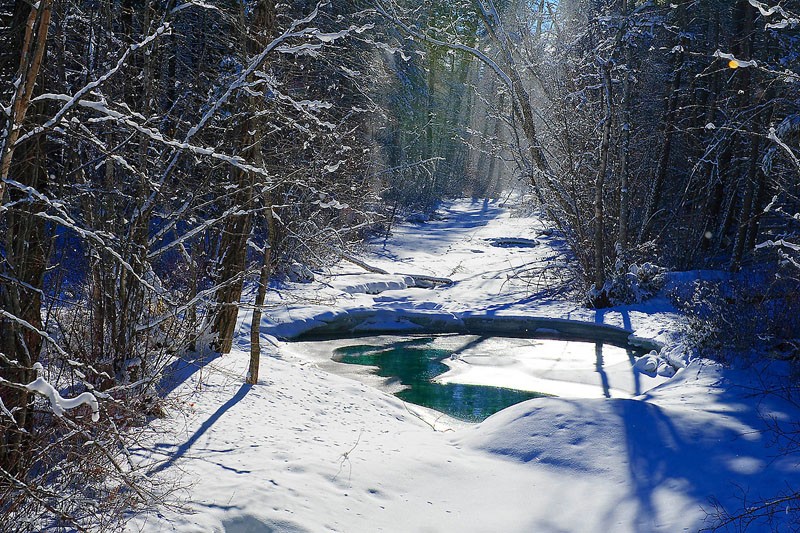 Snowy Creek