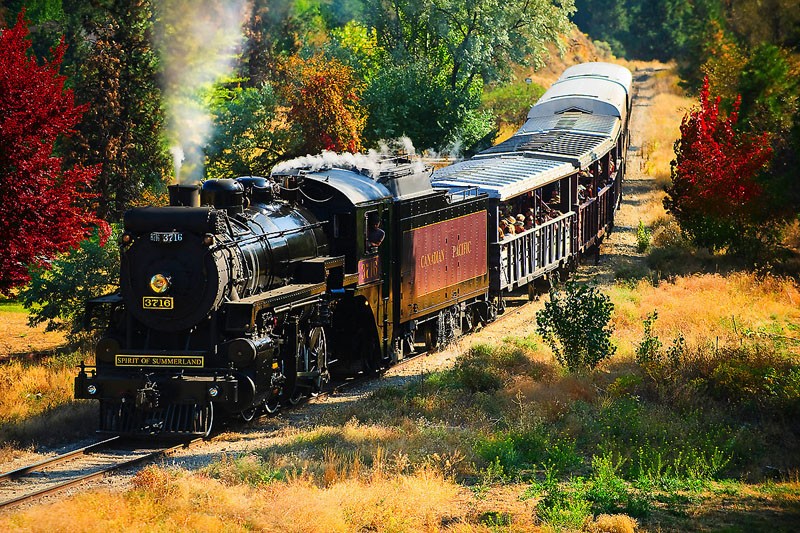 Steam Train