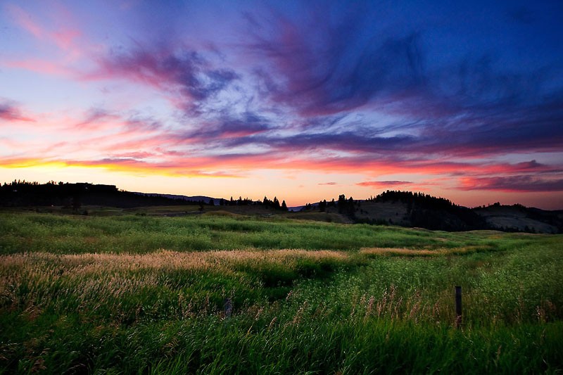 Sunset Field