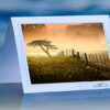 Inspired Landscape_prod