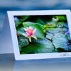 Water Lily_prod