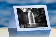 Whangrei Falls_prod