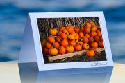 Bountiful Pumpkins_prod