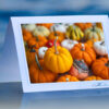 Oodles of Pumpkins_prod