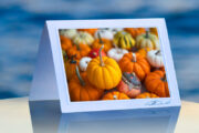 Oodles of Pumpkins_prod