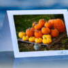 Season of Thanks_prod