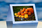 Season of Thanks_prod