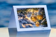 Winter Wishes_prod