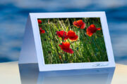 Lest We Forget_prod
