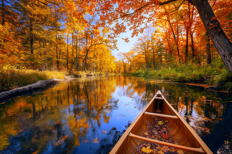 ClearWaters ClearWaters