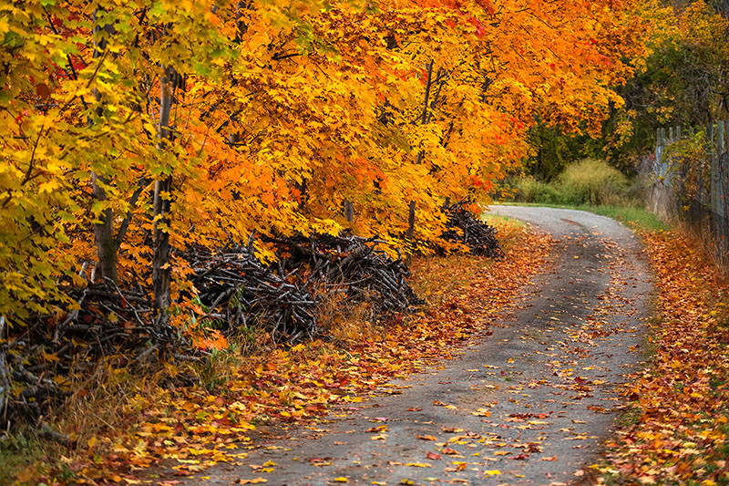 Enduring Journey Enduring Journey