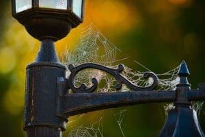 Lightpost Web