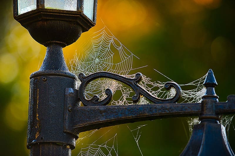 Lightpost Web